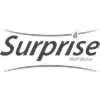لوگو برند سوپرایز